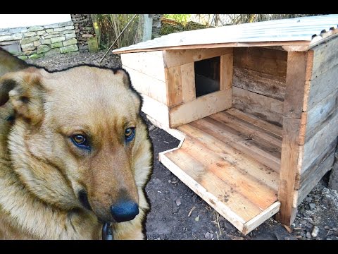 Как построить собачью будку своими руками?